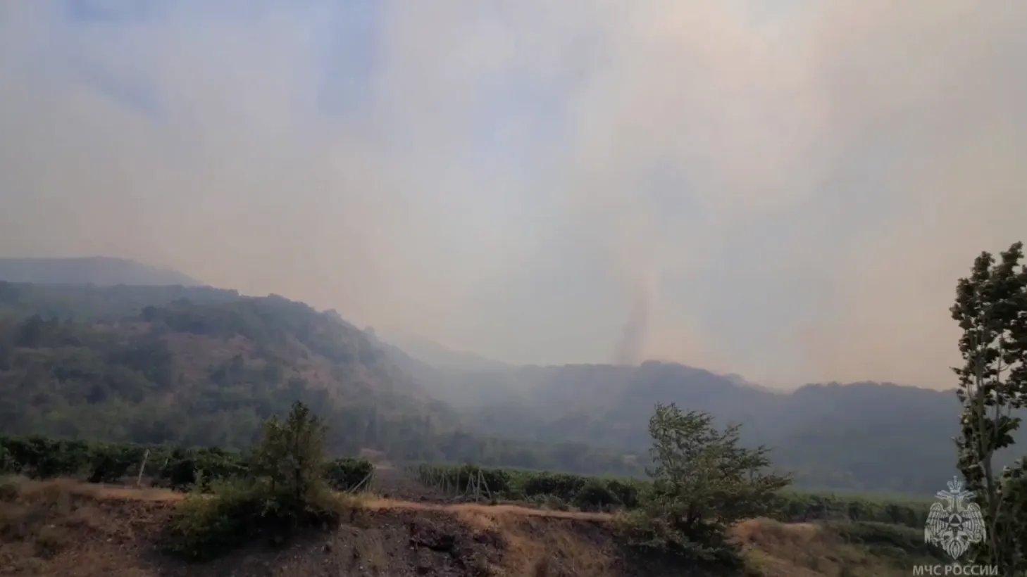 Видео: площадь крымского пожара достигла 15 гектаров