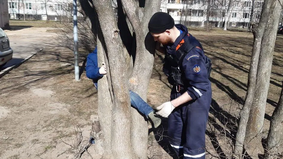 Подмосковные спасатели освободили ребенка, застрявшего на дереве в Дубне
