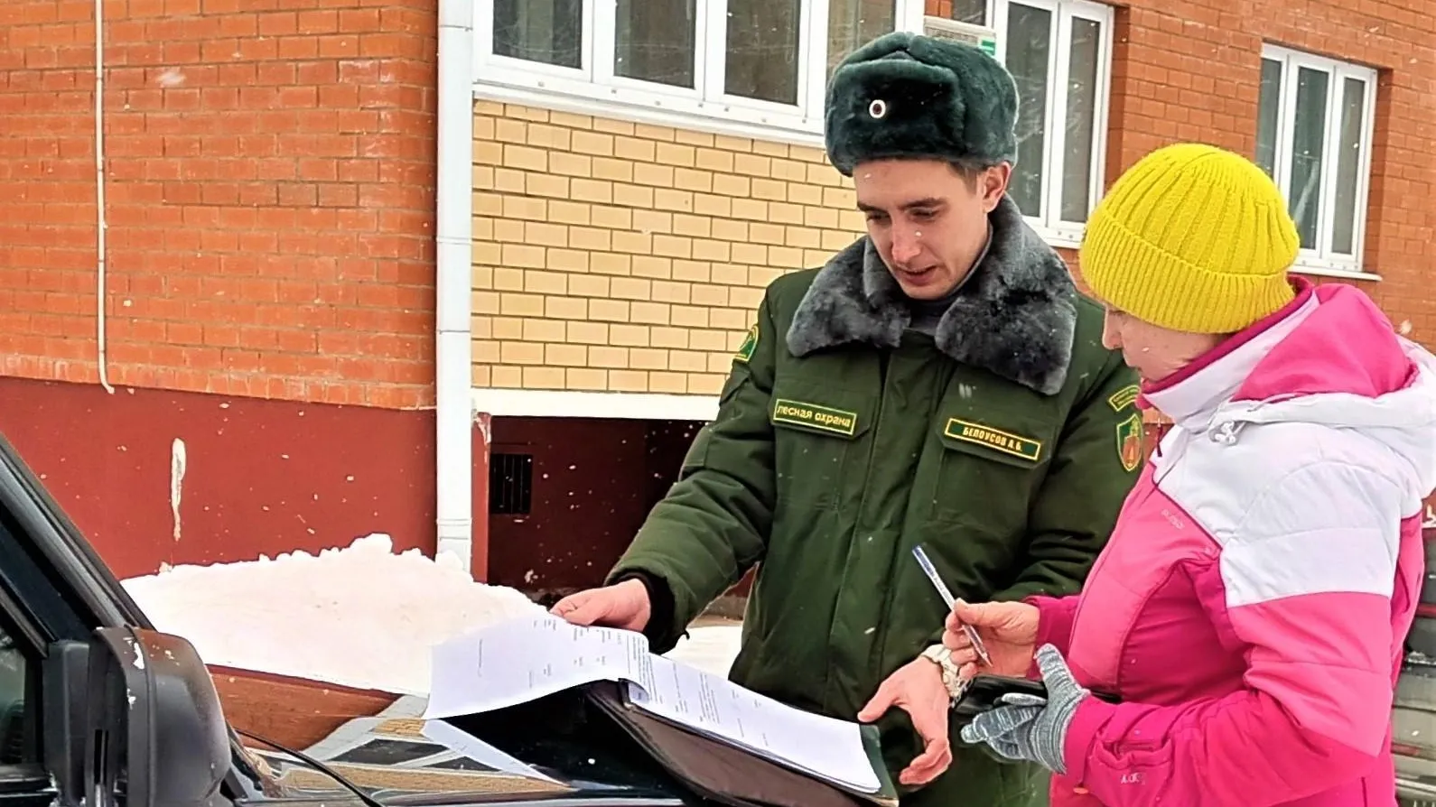 Выборочная санитарная рубка пройдет в округе Подольск