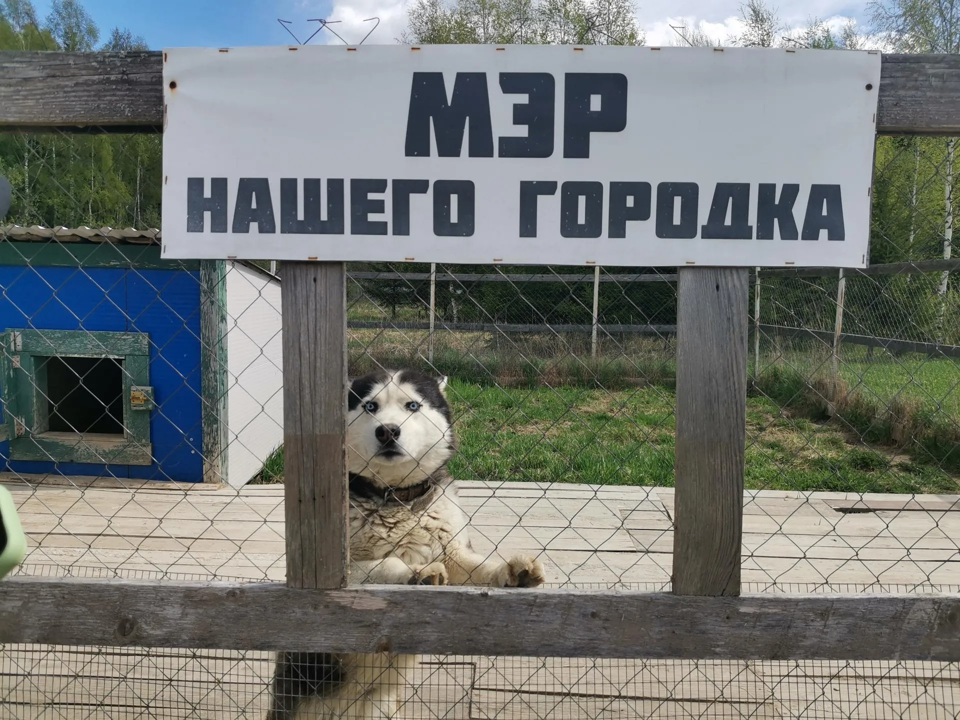 Анастасия Сивякова