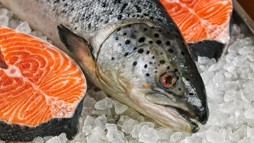 Лосось стал деликатесом: почему россияне стали есть меньше рыбы