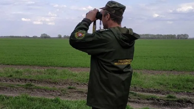 В Подмосковье регулярно проводят рейды, направленные на выявление африканской чумы свиней
