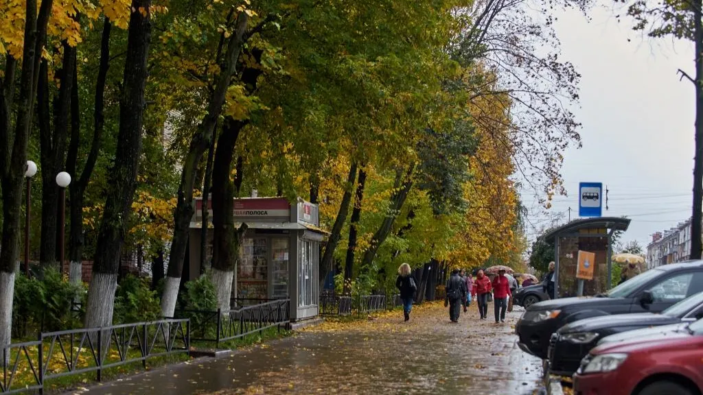 Облачная погода и до плюс 6 градусов ожидается в Московском регионе в пятницу