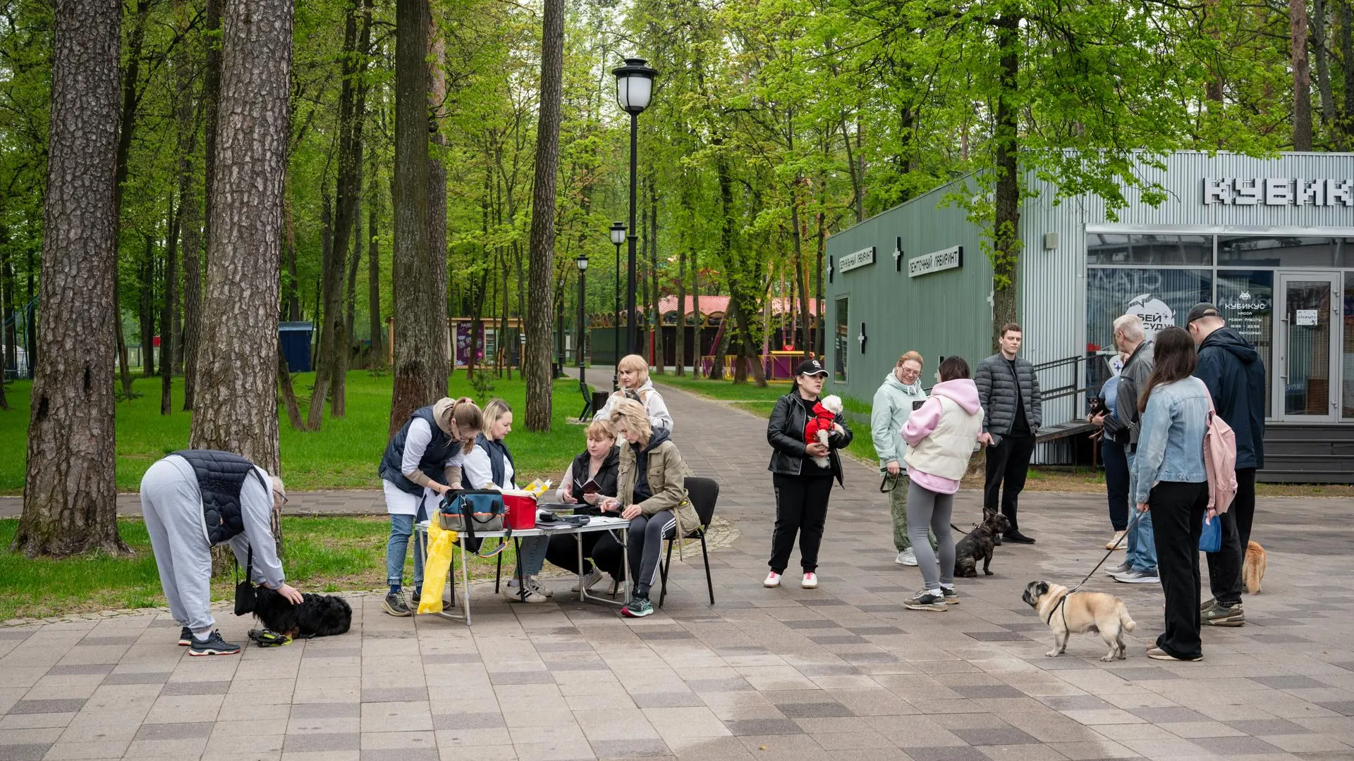 В Раменском округе Подмосковья провели выездную вакцинацию животных