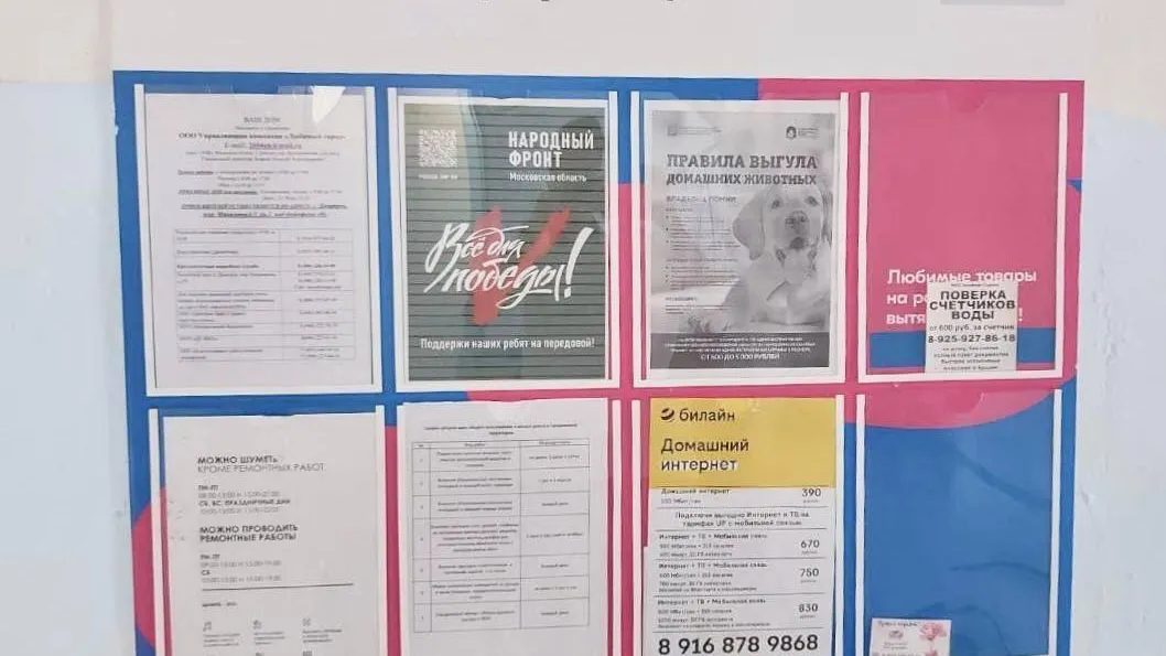 В подмосковных подъездах приведены в порядок 650 информационных стендов