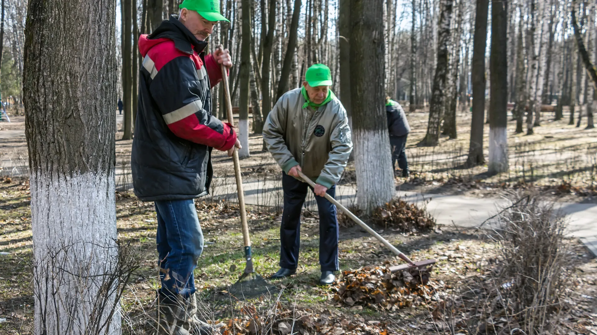 Жителям Королева предлагают принять участие в субботнике