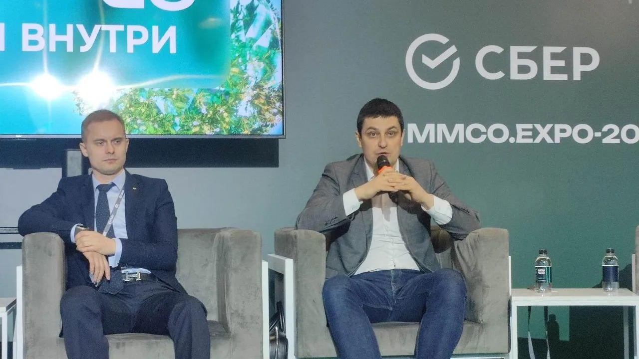 Константиниди: внутренний туризм в России превысил допандемийный уровень