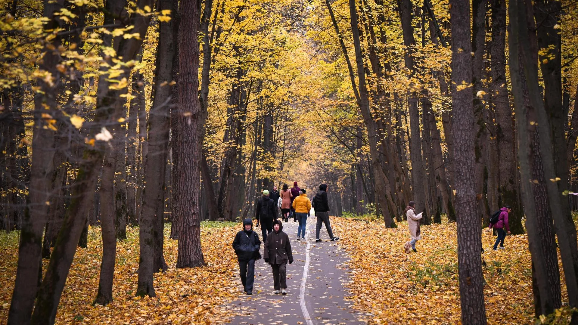 Две сцены установят в парке Люберец в 2020 году