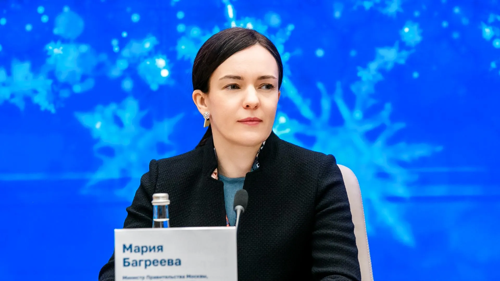 Мария Багреева: мини-аукционы помогли заказчикам сэкономить 3,5 млрд рублей