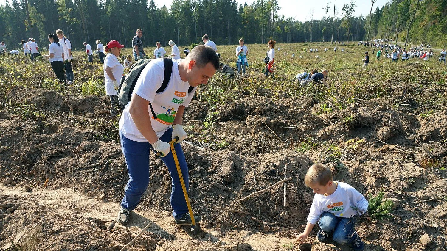 Около 300 тыс жителей Подмосковья приняли участие в акции «Наш лес. Посади свое дерево»