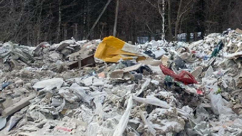 Хозяев земель в Подмосковье предостерегли от нарушений правил обращения с мусором