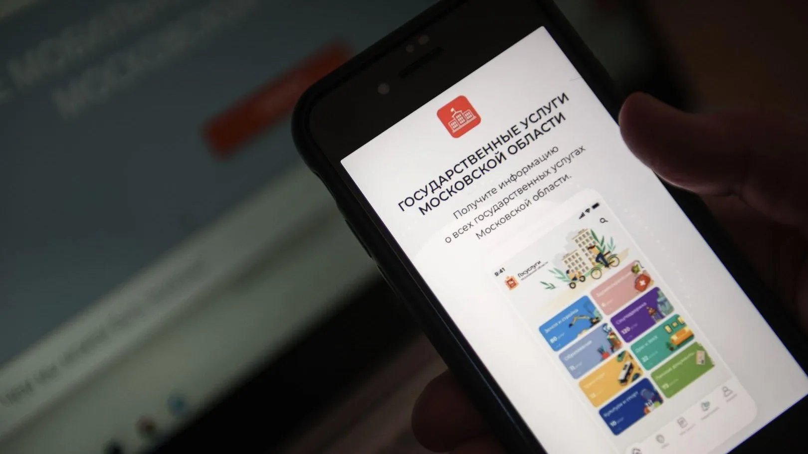 Собственники Подмосковья в январе изменили назначение земли на 106,6 млн руб