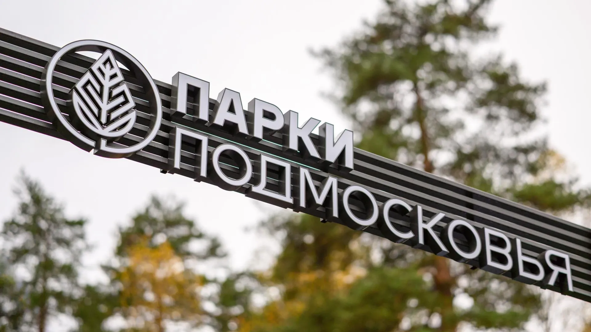 В Одинцовском округе объявили конкурс на благоустройство парка Лазутиной