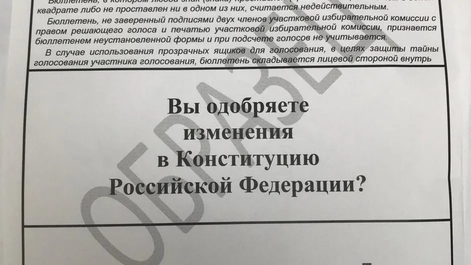 Более 5,3 млн бюллетеней для голосования по Конституции напечатают в Подмосковье