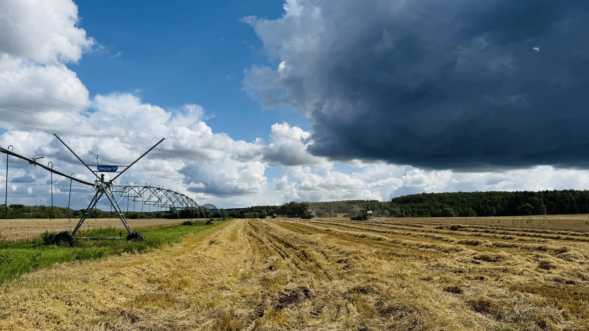 Аграрии Подмосковья могут получить льготные кредиты под 6,8% годовых
