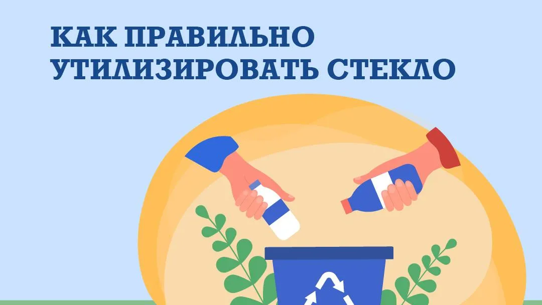 Жителям Подмосковья напомнили правила сдачи стекла на переработку