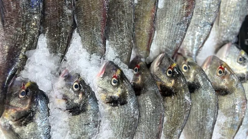 Ярославский Максим / Фотобанк Лори