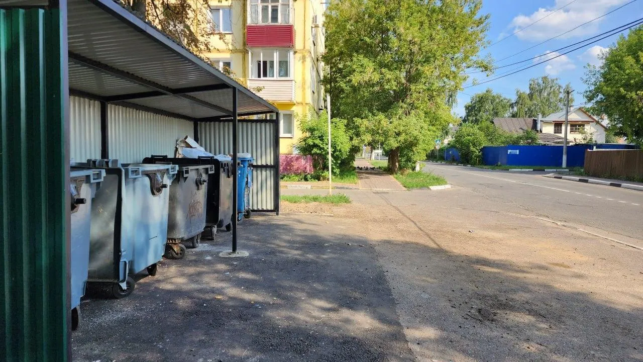 В Раменском округе выписали новый штраф за незаконный сброс мусора