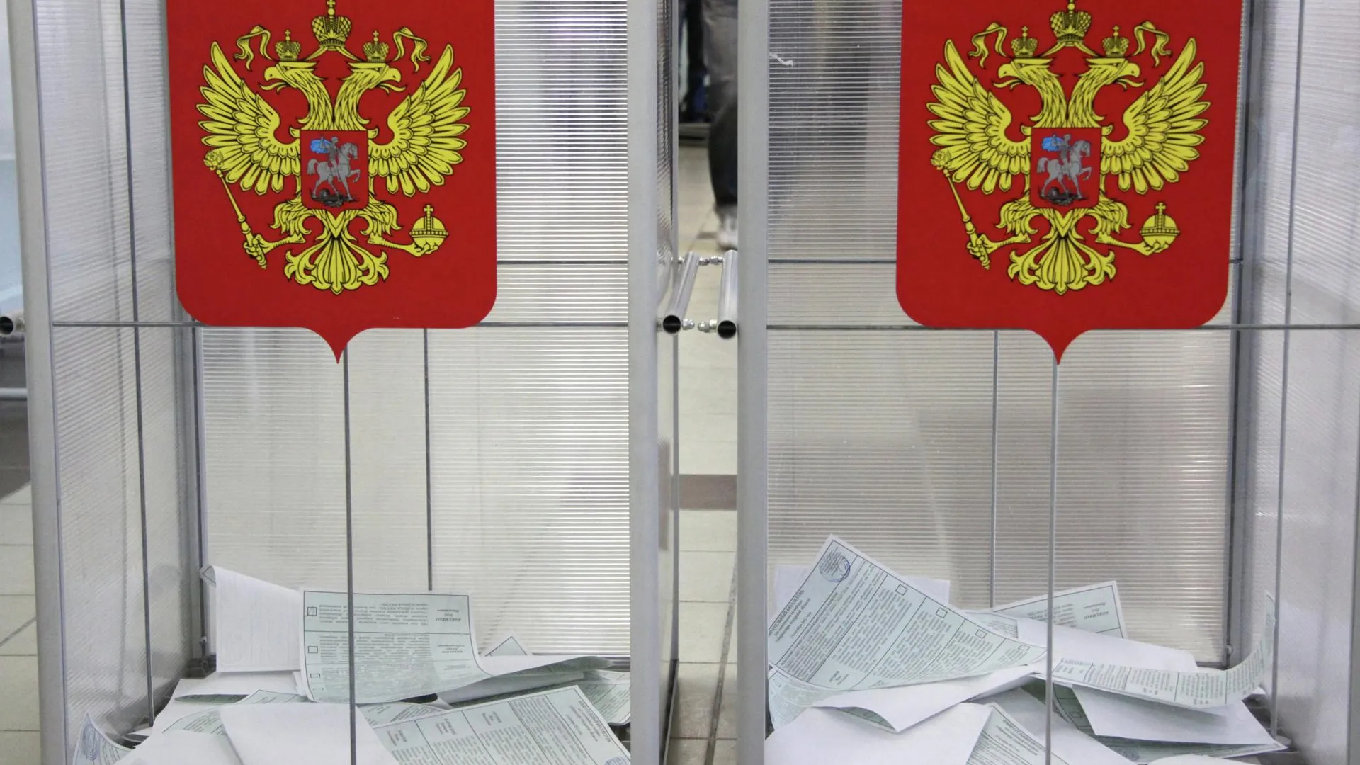 Лучшую явку на основных выборах в Подмосковье фиксируют в Дмитрове, Молодежном и Балашихе