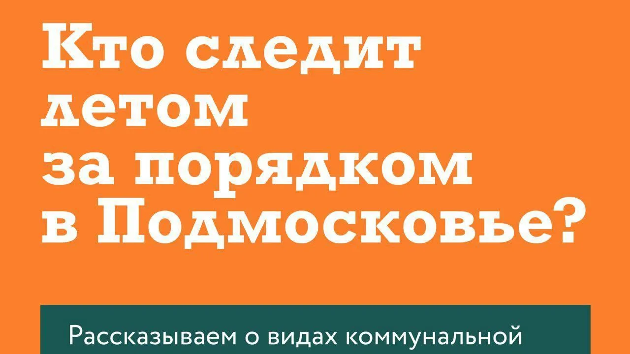 В Подмосковье рассказали о видах летней коммунальной техники