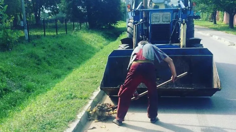 Территорию Лаговского пруда в Подольске начали очищать от мусора