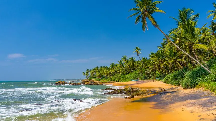 Александр Салук / Фотобанк Лори