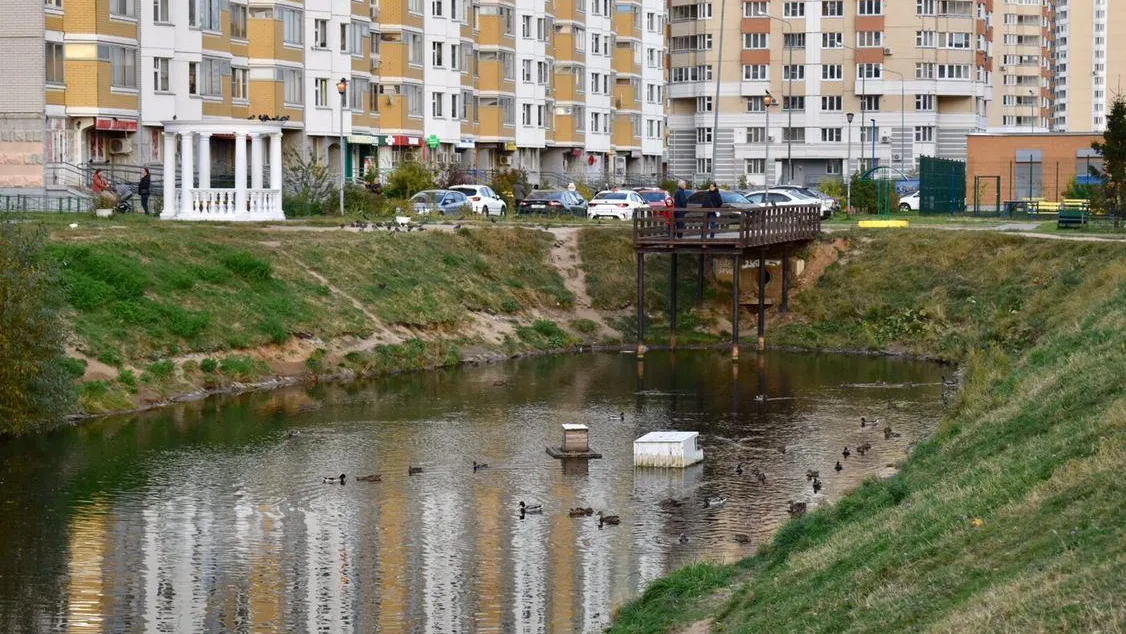 Территорию пруда Коровка в Балашихе обработают от крыс на следующей неделе
