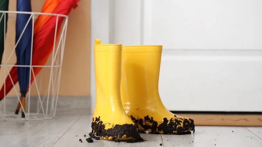 Небывалый спрос на резиновые сапоги: как рекордные сугробы в России изменили рынок обуви весной 2026 года