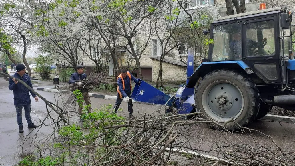 Ветви деревьев опилили во дворе на улице Мичурина в Подольске