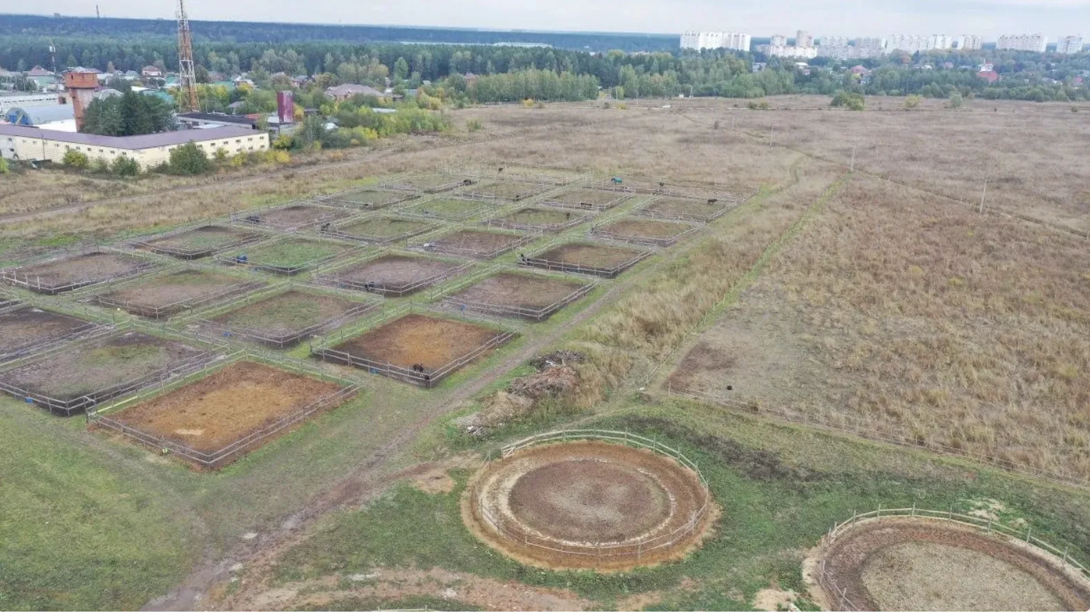 Свыше 80 земельных участков в округе Клин сданы в аренду в 2024 году