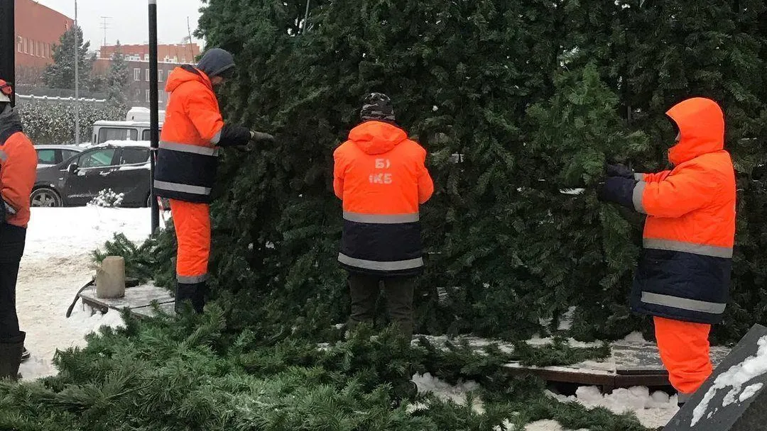 24‑метровую новогоднюю ель начали устанавливать на бульваре Юности в Подольске