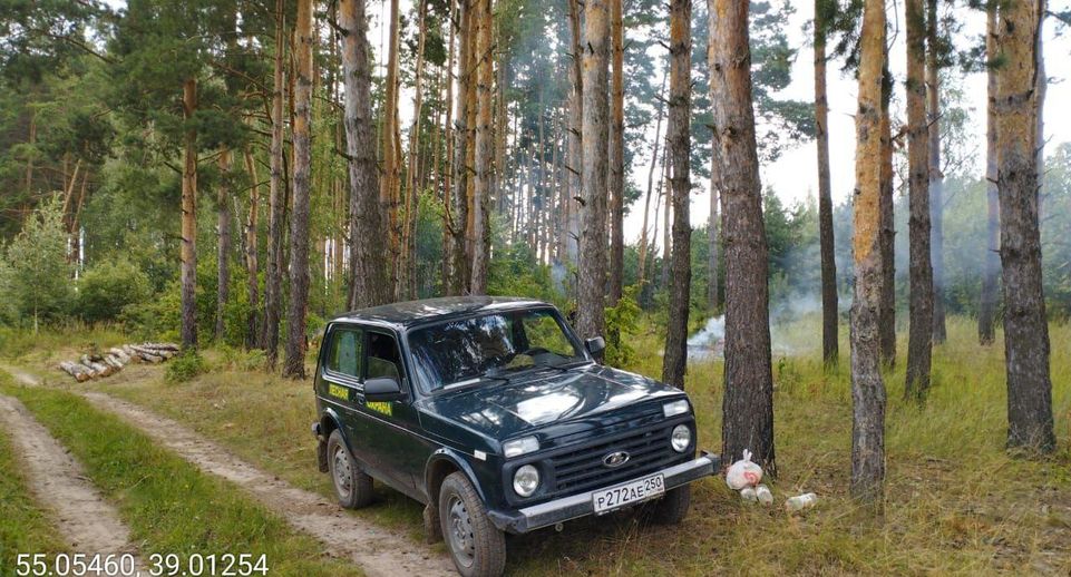 Лесной участок в Коломне очищают от сухостойных деревьев