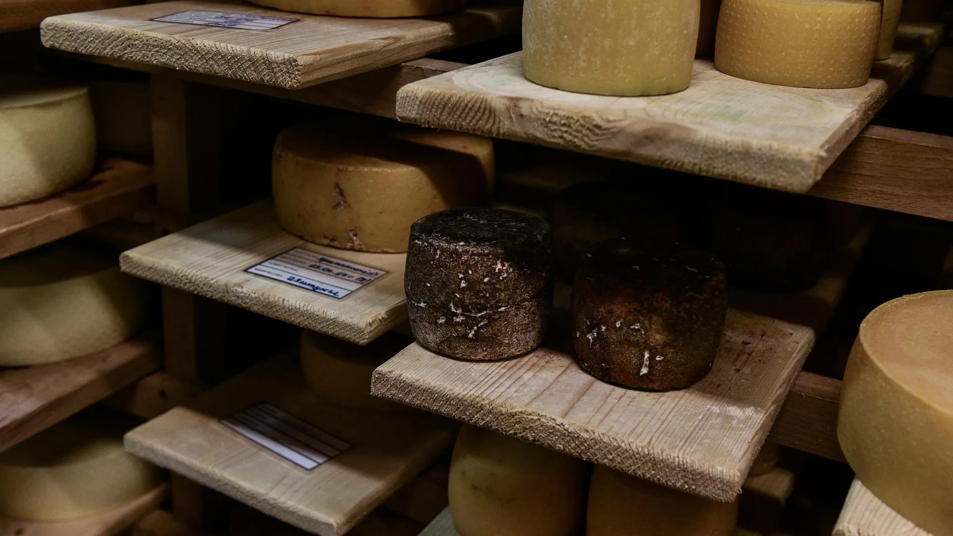 Около 30 сыроваров Подмосковья представят свою продукцию на фестивале в Москве