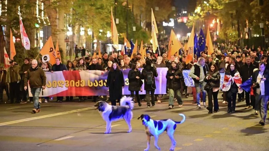 Грузинское ТВ: силовики вытеснили протестующих в Тбилиси с проспекта Чавчавадзе