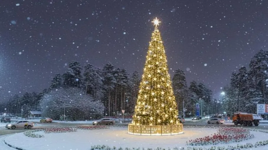 На круговом движении в Раменском засияет новогодняя елка