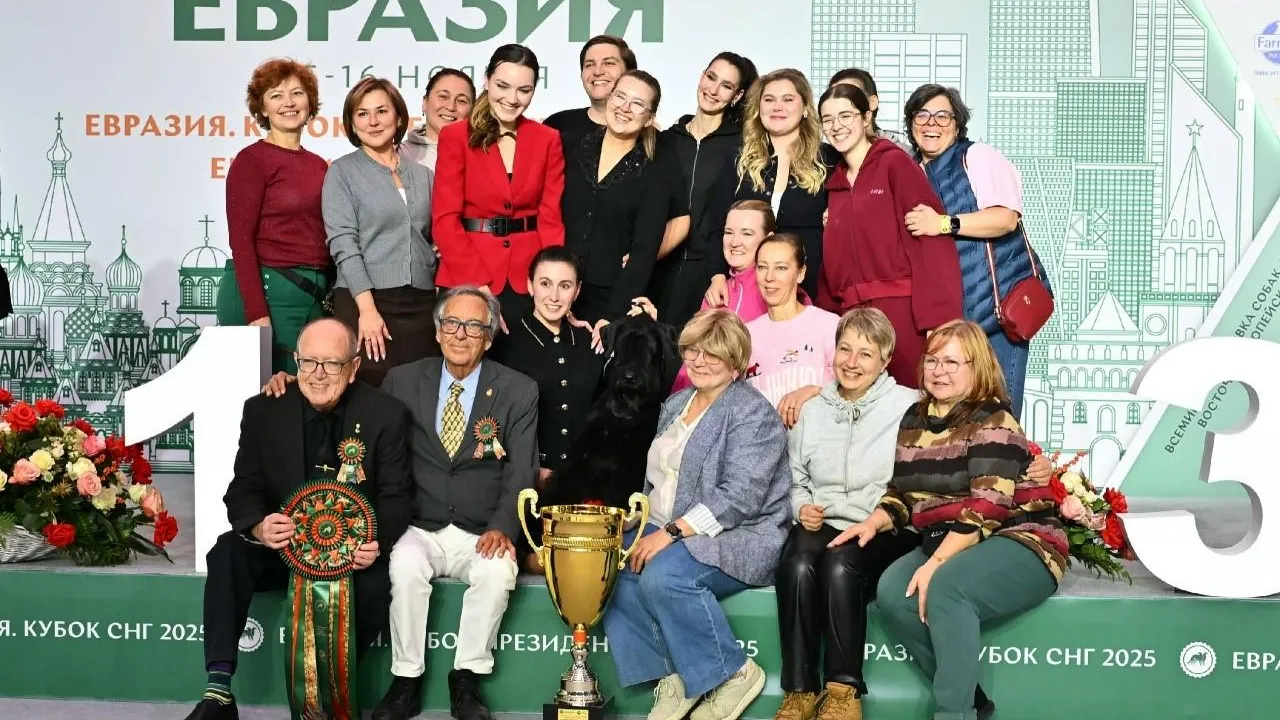 Стали известны победители выставки собак «Евразия-2025»