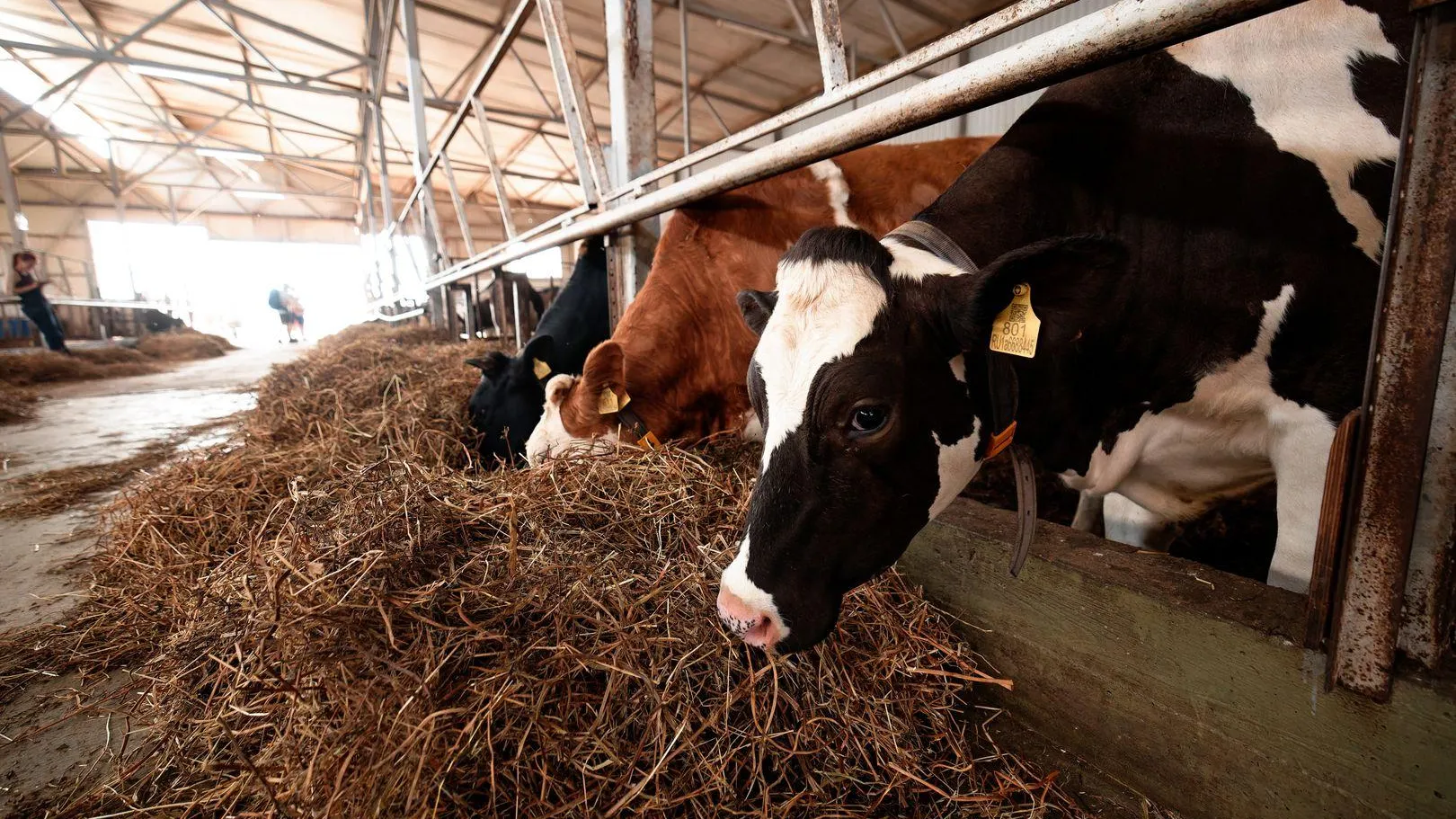 В Подмосковье проверили готовность АО «Воскресенское» к посевной