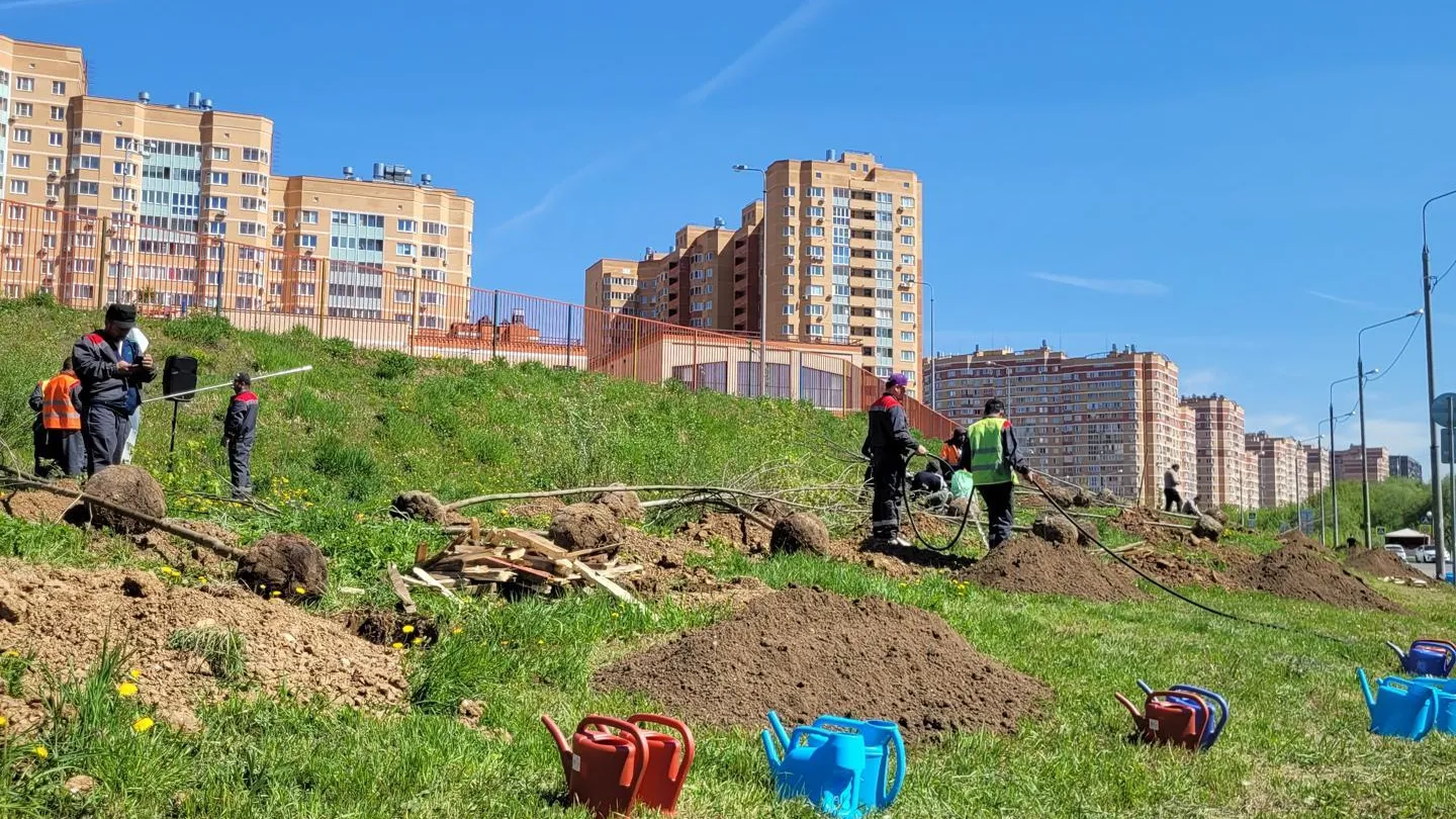 В ЖК «Зеленые аллеи» в Видном высадили более сотни деревьев