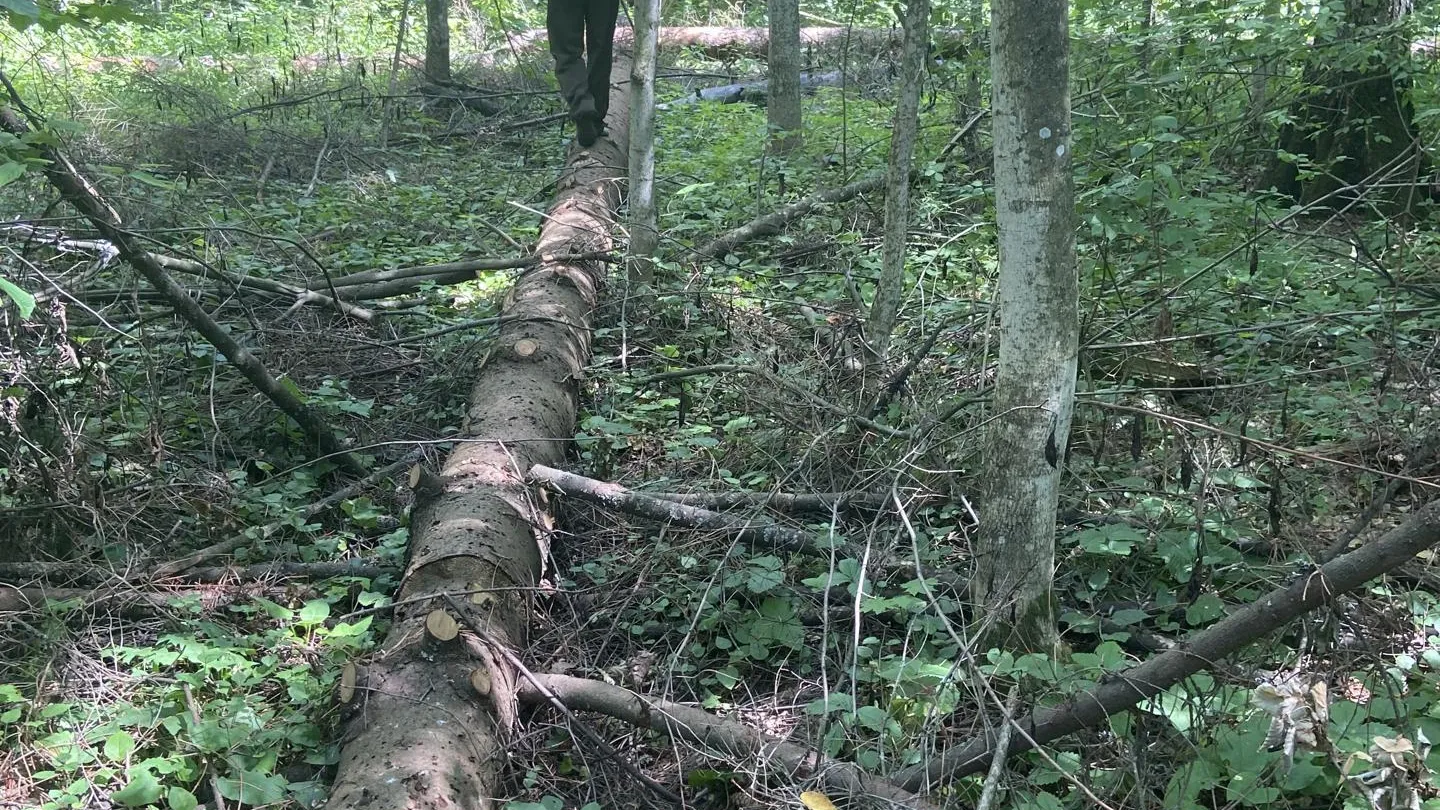 Подмосковное УФАС включило 2 подрядчиков в реестр недобросовестных поставщиков