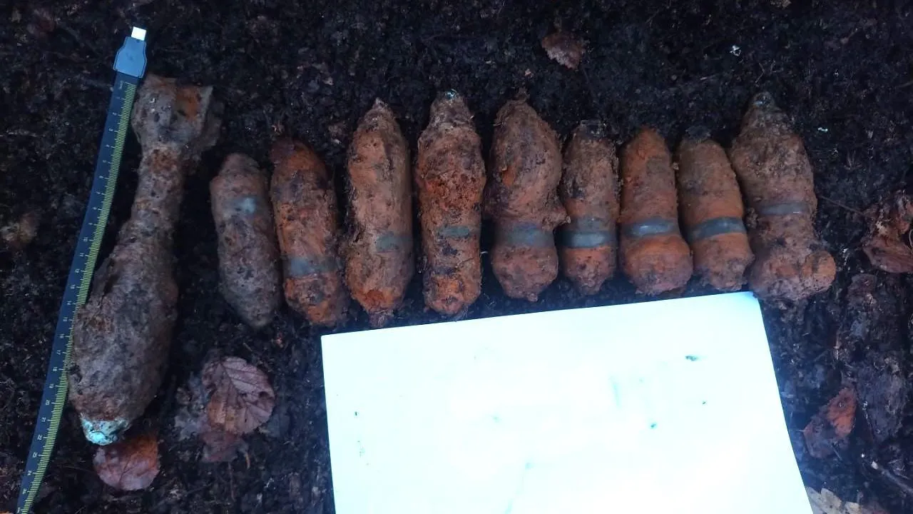 Взрывотехники обезвредили найденные в Рузском округе 10 боеприпасов времен ВОВ