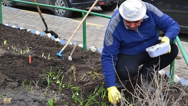Около 1 тыс человек убирали улицы Люберец на прошедшей неделе