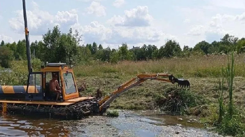 Жителей Подмосковья приглашают присоединиться к месячнику защиты малых рек