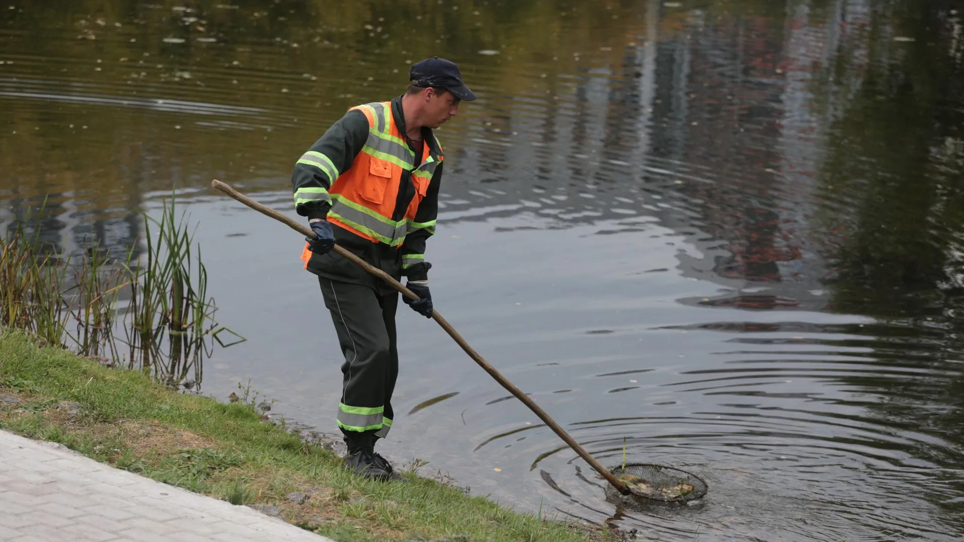 Пробы воды взяли после обнаружения мертвой утки в пруду Лефортовского парка в Москве