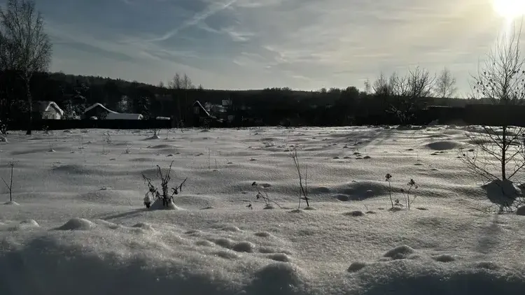 Ступино, Серпухов и Истра лидируют по числу лотов на продажу в Подмосковье