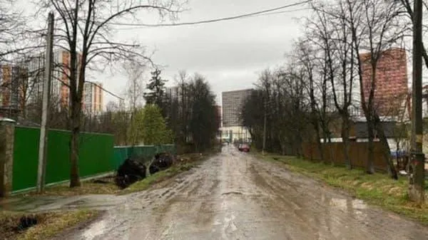 Незаконную вырубку аллеи из лип пресекли в Одинцовском округе