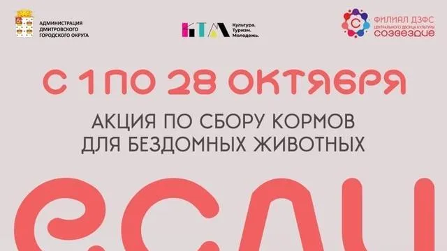 Акция по сбору корма для бездомных животных стартовала в Дмитрове