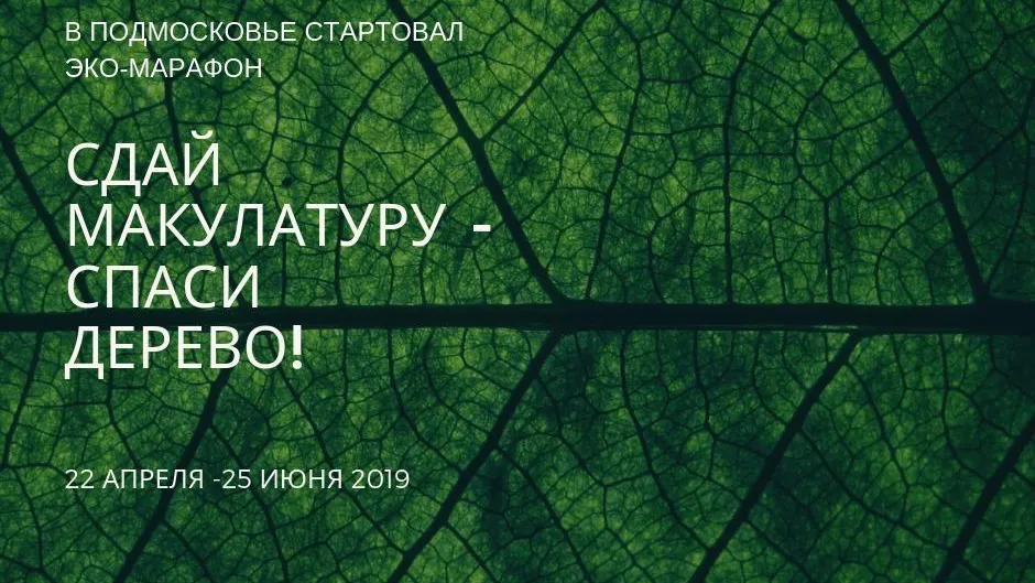 Экомарафон «Сдай макулатуру – спаси дерево!» начался в Подмосковье