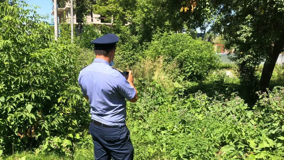 13 общественных территорий окосили в Котельниках после вмешательства Госамдтехнадзора
