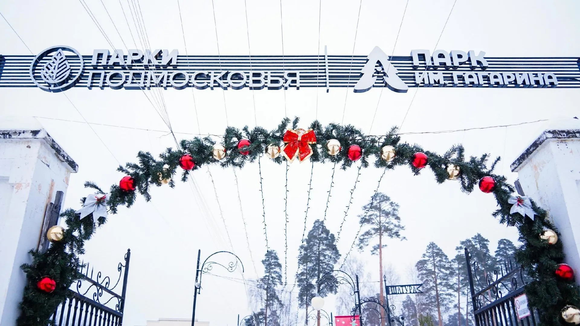 Фото из архива