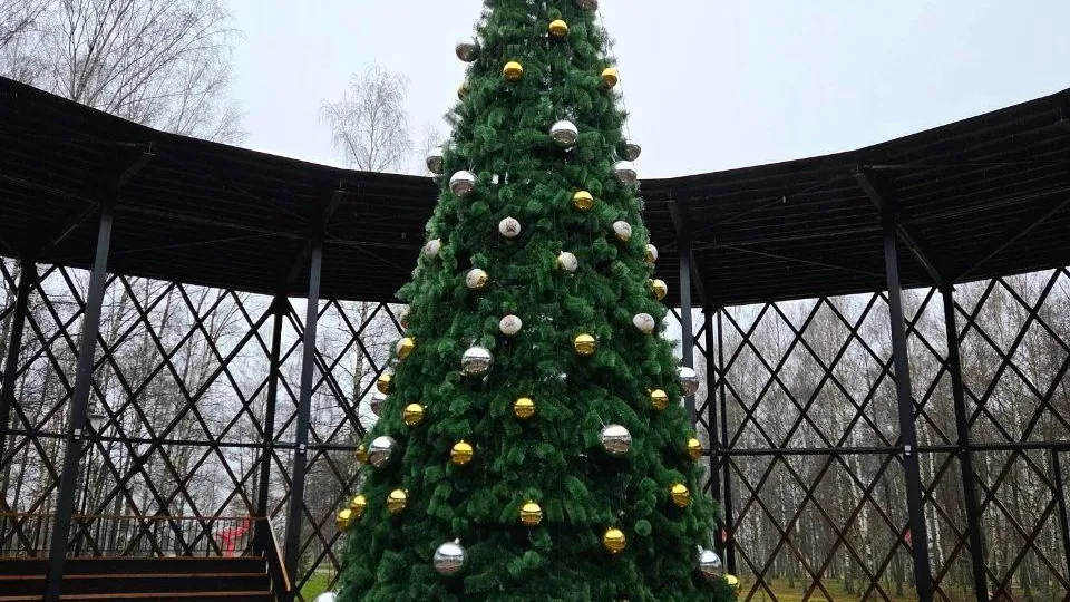 Елку в парке «200 лет Егорьевску» нарядили шариками с гуслицкой росписью